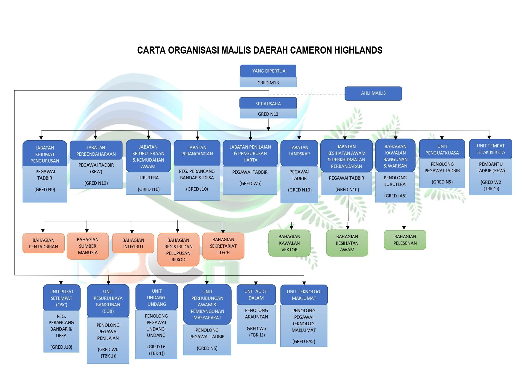 CARTA ORGANISASI MDCH